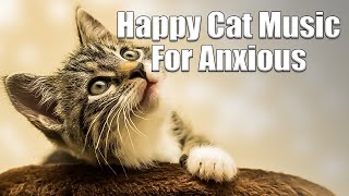 Cat Lovers Anti Anxiety Music relaxingmusic happymusic
