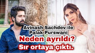 Avinash Sachdev ile Palak Purswani neden ayrıldı?rtaya çıktı.