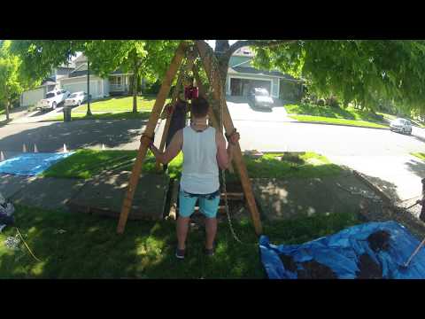 Removing Sidewalk-Lifting Tree Roots