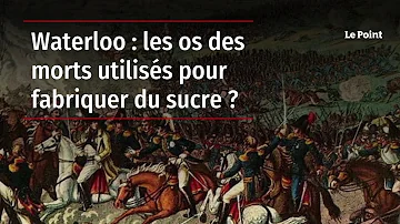 Où sont enterrés les morts de Waterloo ?