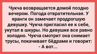 Чукча Приютил Девушку без Трусов! Сборник Свежих Смешных Жизненных Анекдотов!