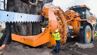 Incredible Heavy Duty Tree Cutting Harvester Equipment Working, Fastest Whole Tree Shearing Chipper