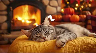12 Hours Of Calming Music for Cats 🐈 Peaceful Piano Music for Cats to Sleep 💤🐱