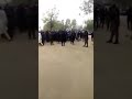 Kwayakwaya 