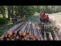 Processing Trees To Logs