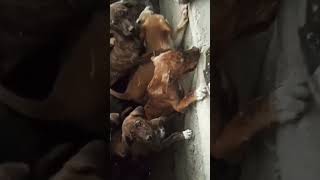 Naki Ki Raho Ma Tue Chal Do Your Best God Always With You Believe In God