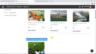 Enlight Theme Options   Courses   Layout   Setting