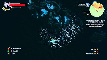 Witcher 3: Huge sky-falling glitch