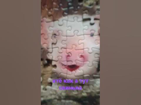 свинька - YouTube
