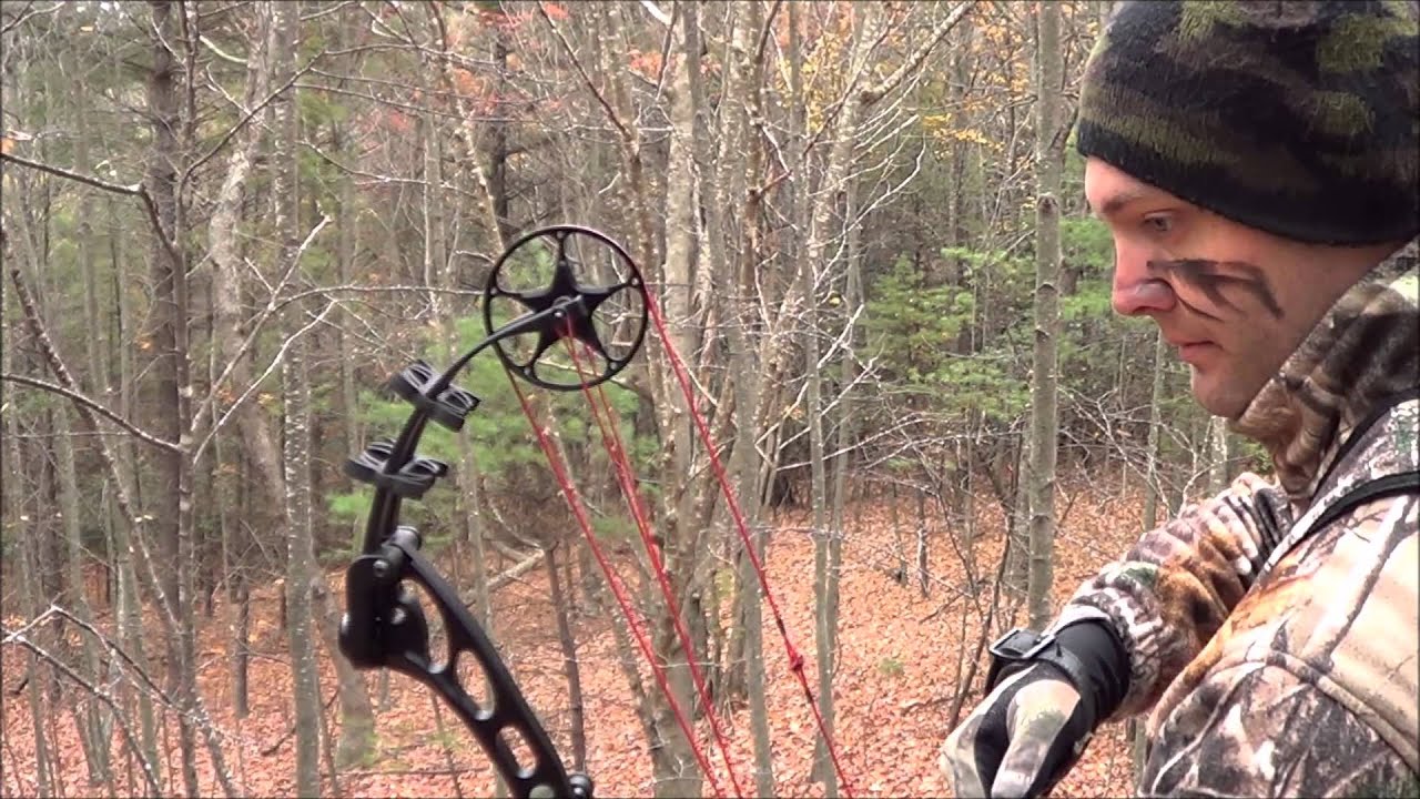 Deer hunting Virginia with Direct Effect Outdoors 2015 