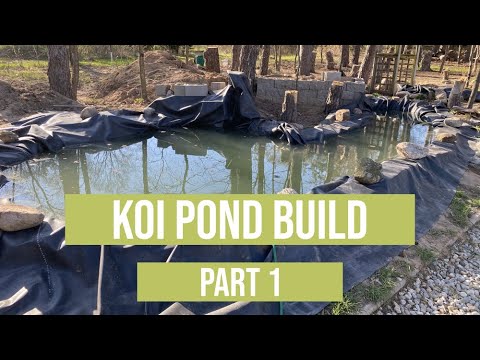 The Koi Pond Build Part 1