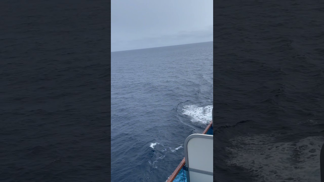 The things you see at sea!  #crownprincess #cruisetour #travel
