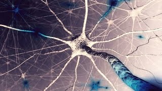 Can We Achieve Immortality?