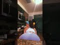 Russia2lit short twerk comp softest ass on the planet