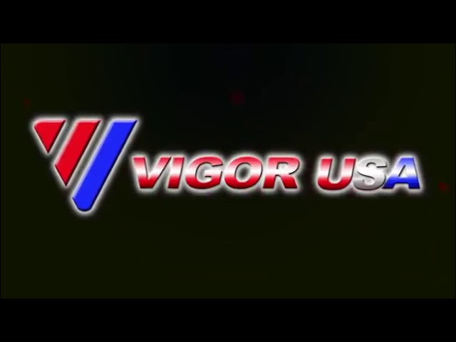 VIGOR USA-STINGER Perforating Guns
