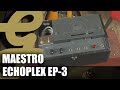 Maestro echoplex ep3 cho  bande vintage