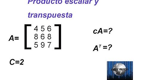 Matrices: Matriz por un escalar y transpuesta de una matirz