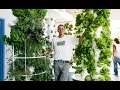 Stephen ritz founder of the green bronx machine his story