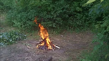 Копчение рыбы на природе без коптильни