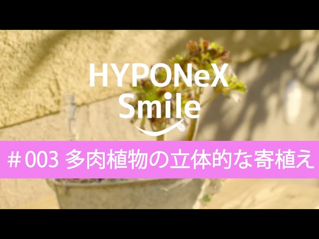 🌱003: Three-dimensional succulent planting | #HyponexSmile - YouTube