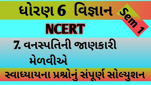 std 6 chapter 7 science swadhyay | dhoran 6 ch 7 vigyan swadhyay | std 6 ch 7 vigyan swadhyay