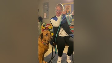 Desensitization with the Sidekick Transitional Leash