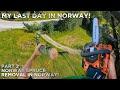 Gambar cover Big Tricky Norwegian Spruce Removal! | Part 2