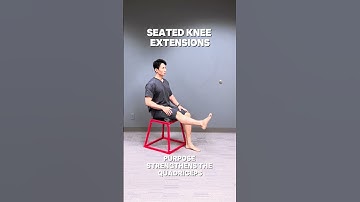 3 Seated knee Extension