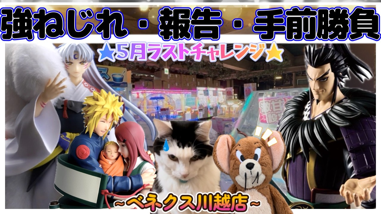 Day 269 of Study] The Last Challenge of May ☆ Determined to go