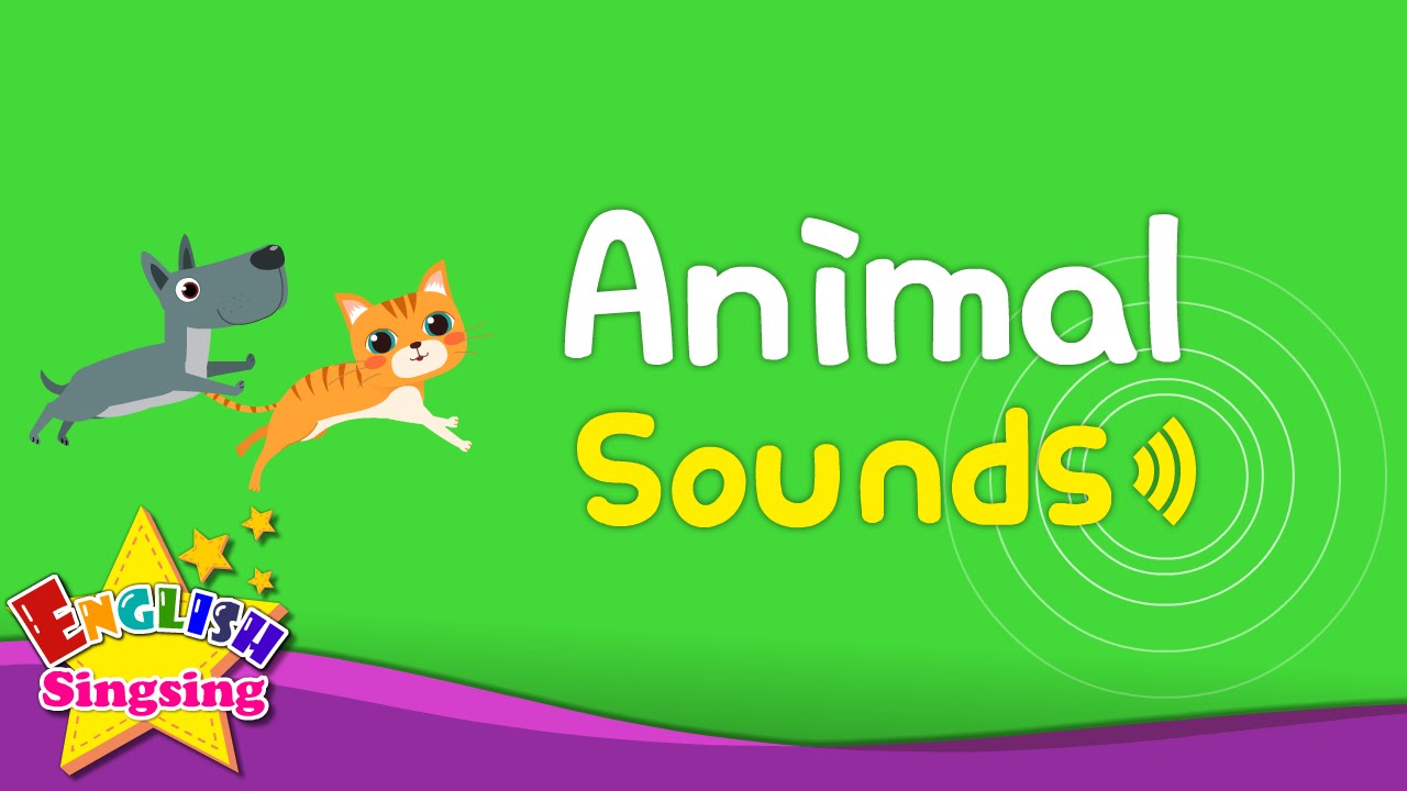 Kids Vocabulary - Animal Sounds - Various Animal Sounds- Learn English for  kids -