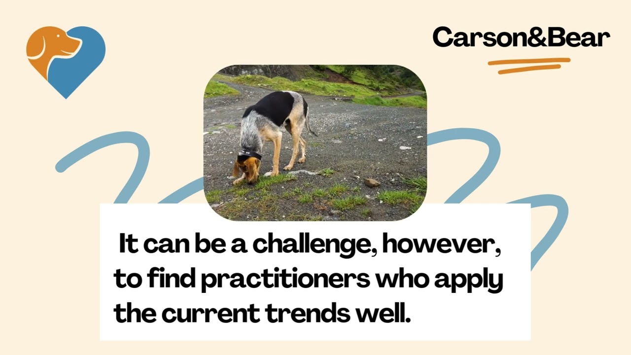 Trends in Dog Wellness: How to Easily Make Real Changes