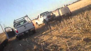Replacing powerline poles