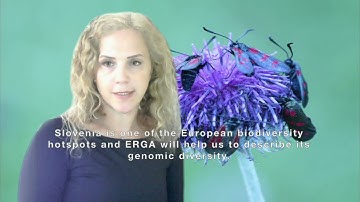 The European Reference Genome Atlas