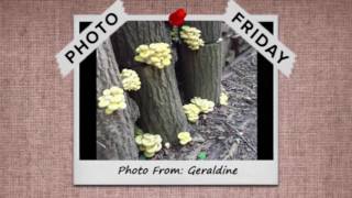 Photo Friday - 8/12/16