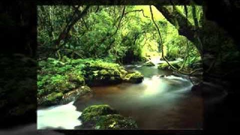تلاوة رائعة للشيخ ايمن امبابى رقم 94.flv
