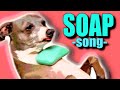 A soap song for kermit