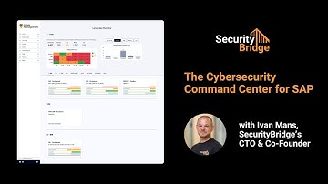 SecurityBridge for SAP Security - Short Introductory demo with our CTO, Ivan Mans