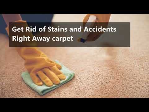 Tips on How to Maintain Your Carpet