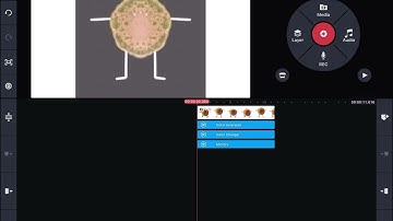 How to make angry on KineMaster