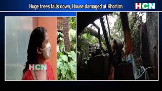 Huge Trees Falls Down, House Damaged At Khorlim