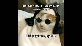 Валерий Меладзе - Салют, Вера! - Speed Up Song