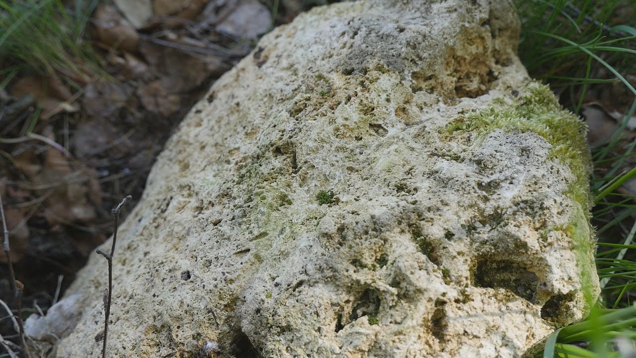 Jaworzno mało znane - Wędrujące kamienie