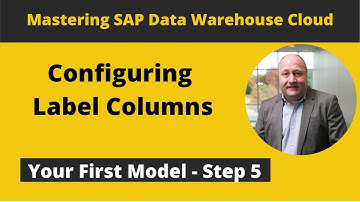SAP Data Warehouse Cloud - Configuring Label Columns (DailyDoseDWC Episode 006)
