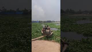 আল্লাহ মাফ না করলে কোন উপায় নাই