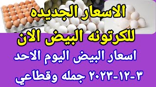 سعر البيض اسعار البيض اليوم الاحد ٣-١٢-٢٠٢٣ جمله وقطاعي فى مصر