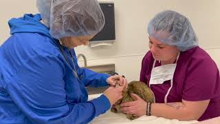 Show Your Soft Side Kitty Fund screenshot 1