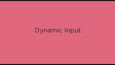 33   Dynamic input