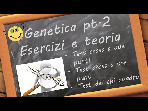 Esercizi di genetica pt.2 (test a 2 punti, test a 3 punti, chi quadro) per esami e test d&rsquo;ingresso