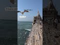 jay dwarkadhish #Dwarika