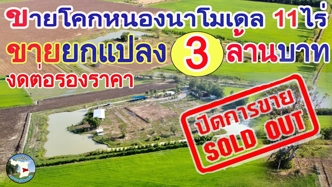 📌(ปิดการขาย)โคกหนองนาโมเดล11ไร่💶ขายยกแปลง3ล้านบาท👉ต.ทุ่งคลีอ.เดิมบางนางบวชจ.สุพรรณบุรี📞087-7697664